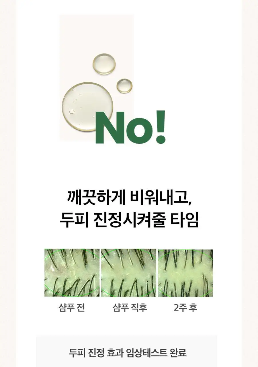 [트리트먼트 10매 증정] 스칼프 클렌징 샴푸 프레쉬 민트 1,000ml 상세페이지 16